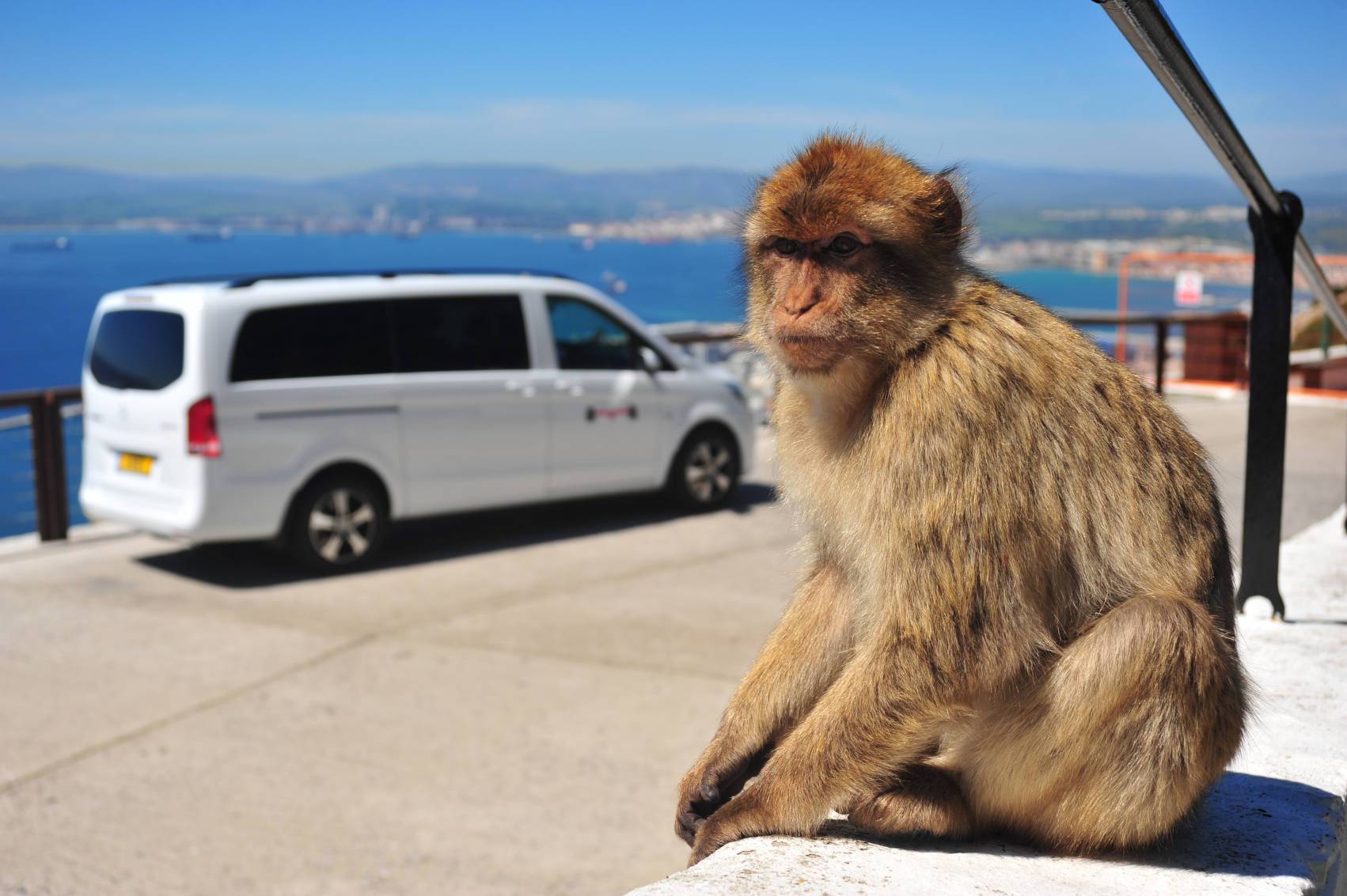 Gibraltar Tour Booking - Panoramic Tour