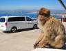 Gibraltar Tour Booking - Panoramic Tour