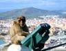 360º Gibraltar Experience Tour by Victory Tours