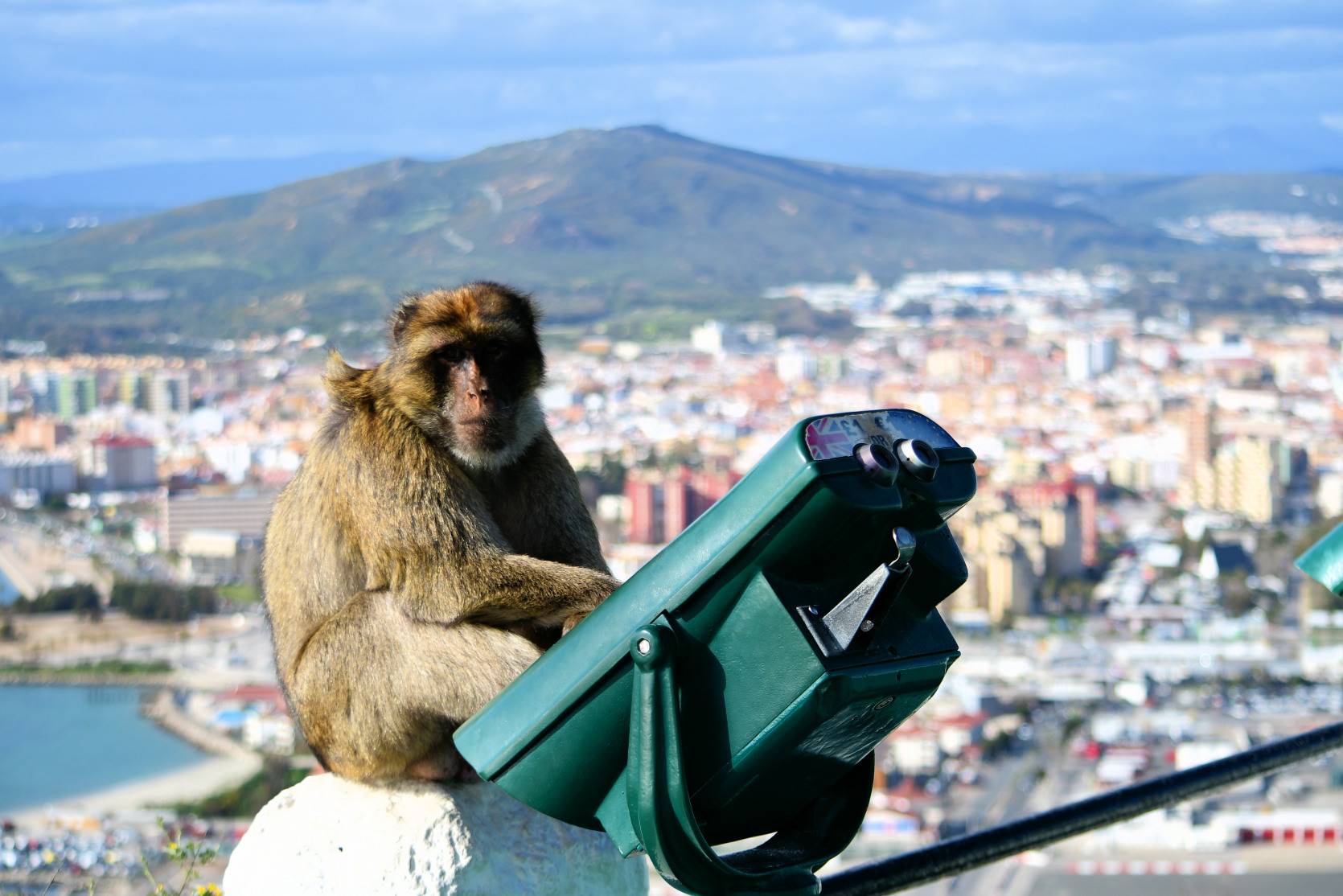 360º Gibraltar Experience Tour by Victory Tours